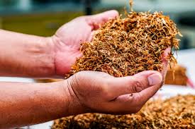 Paan Masala