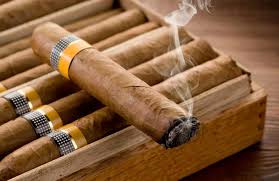 Cigar